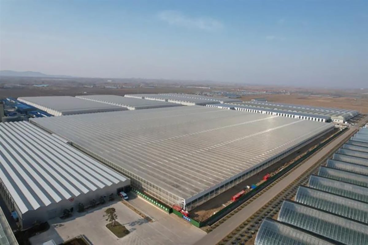 Haoyu-project-China-KUBO-Greenhouse