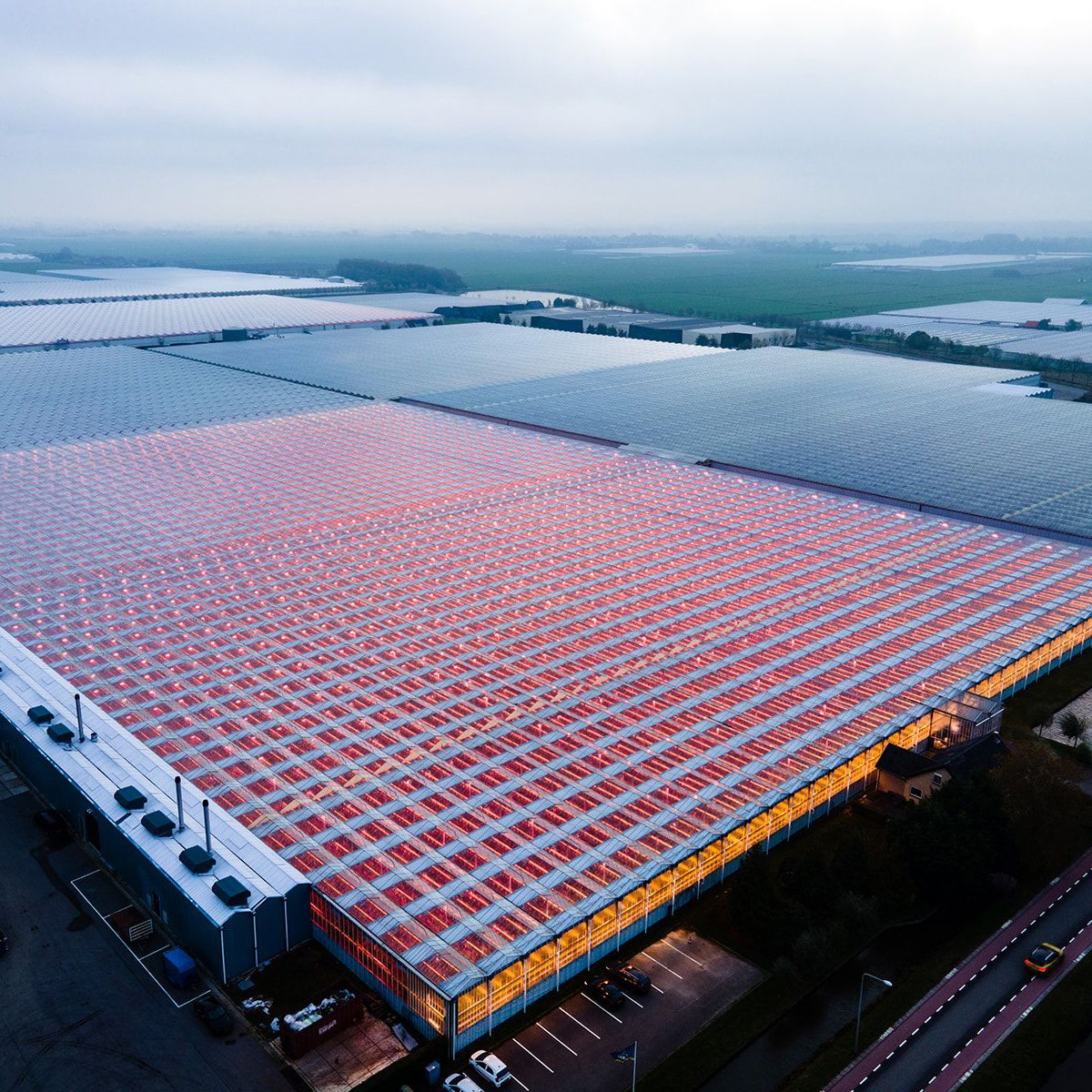 An aerial view of a large greenhouse with grow light. The facility is adjacent to a parking lot with several cars and is located near a road. The surrounding landscape includes fields that seem to be part of an agricultural area.