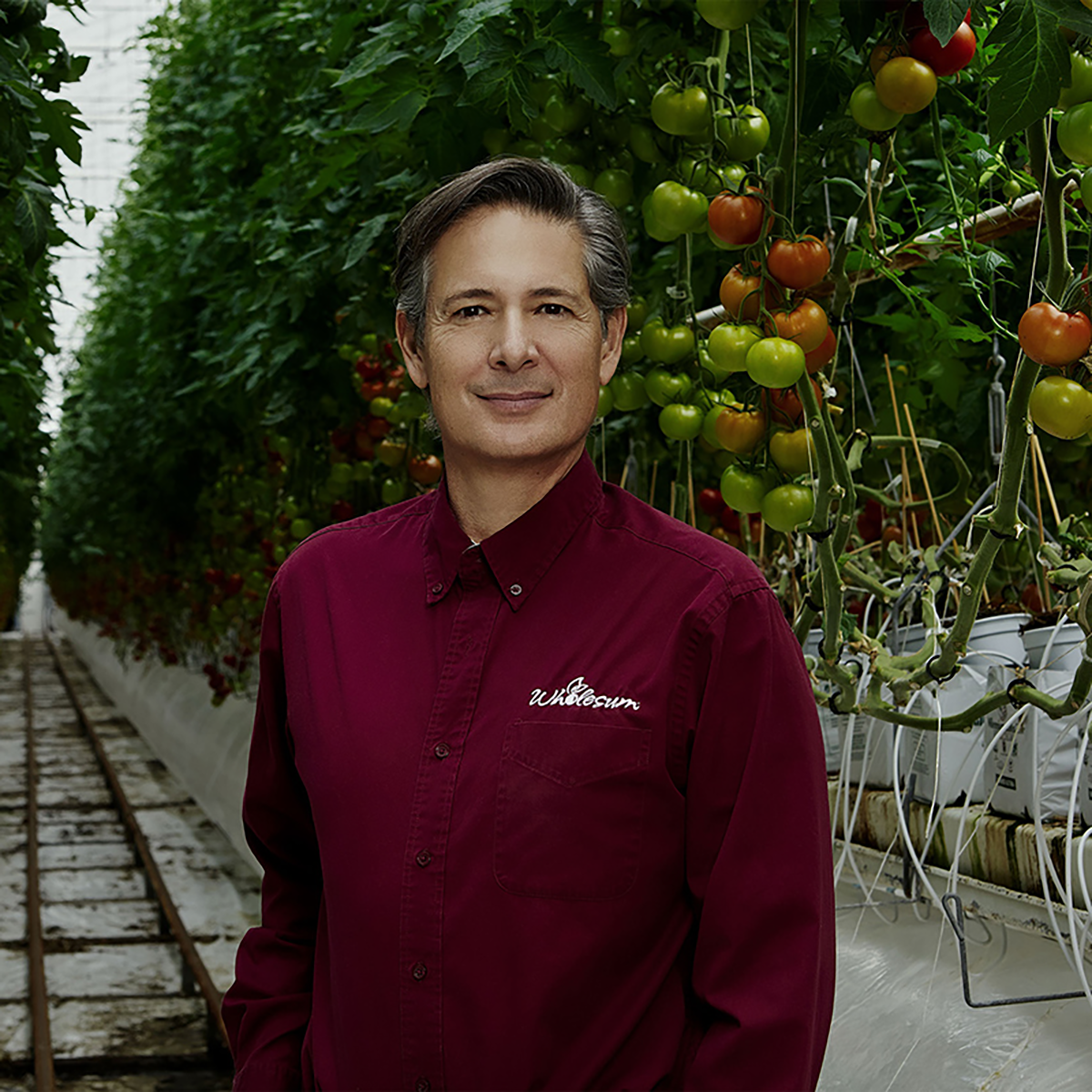 A person is standing in a greenhouse with tomato plants in the background.