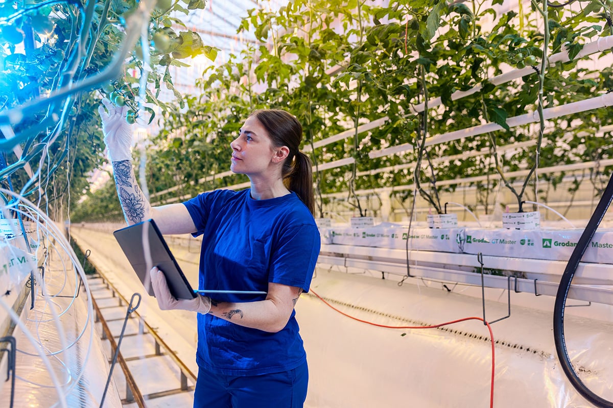 A person, likely a scientist or researcher, in a blue uniform and gloves, working with plants inside a greenhouse. The individual is holding a clipboard and appears to be inspecting or recording data about the plants.
