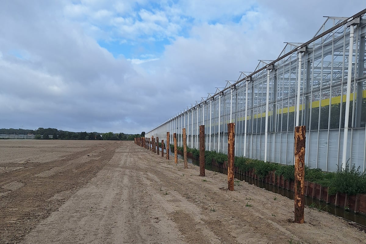Een bouwplaats met een kas, uitgelijnd langs het midden van een onverharde weg. De weg is omgeven door een vlak, open landschap met schaarse vegetatie. Er is een heldere lucht met wat wolken erboven en een gedeeltelijk zichtbare groene muur of barrière aan de rechterkant van het beeld.