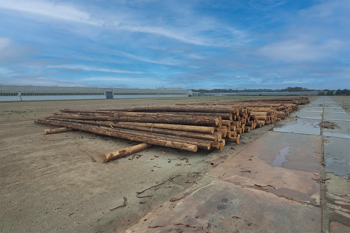 A large, open outdoor area with a clear view of the sky, which has a few scattered clouds. In the foreground, there is a paved surface that shows signs of wear and water stains. Lining the edge of the paved area are numerous long, stacked logs or poles, which create a barrier.