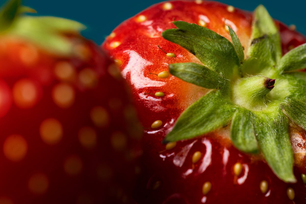 Close-up van een rijpe aardbei met een levendige rode kleur en een sappig uiterlijk. De aardbei is onder een lichte hoek gefotografeerd, waardoor de groene bladeren en de zaden op het oppervlak zichtbaar zijn. De achtergrond is blauw en contrasteert met de rode kleur van de aardbei.