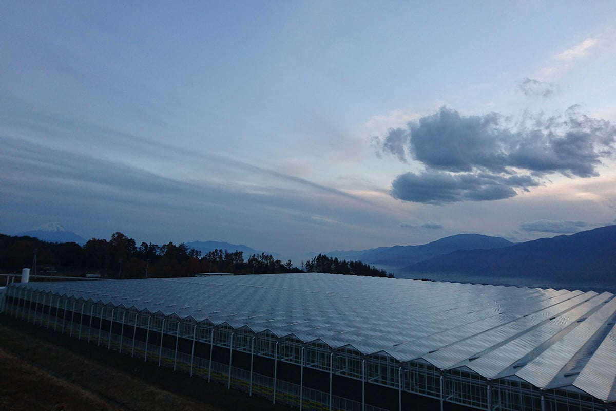 A large greenhouse complex set against a backdrop of mountains and a cloudy sky. The glass panels of the greenhouses reflect the soft light of dawn or dusk, while in the distance, there are rolling hills and a snow-capped peak.