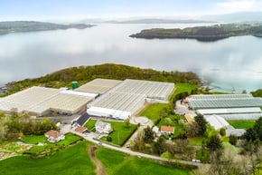 An aerial view of a large greenhouse, adjacent to a body of water with a misty appearance. There are various buildings and smaller structures around the area, and the landscape is covered with greenery and trees. The weather appears to be clear with some clouds in the sky.