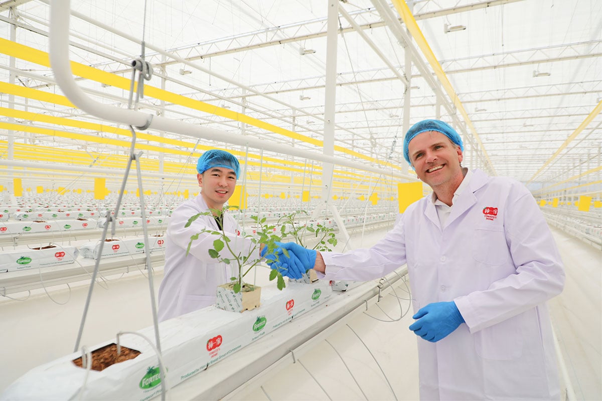 In een kas staan twee personen, beiden gekleed in witte laboratoriumjassen, te midden van rijen weelderige groene planten. Ze houden elk een plantenpot vast en wisselen die met elkaar uit. De planten zien er gezond uit en worden in deze gecontroleerde omgeving zorgvuldig verzorgd.