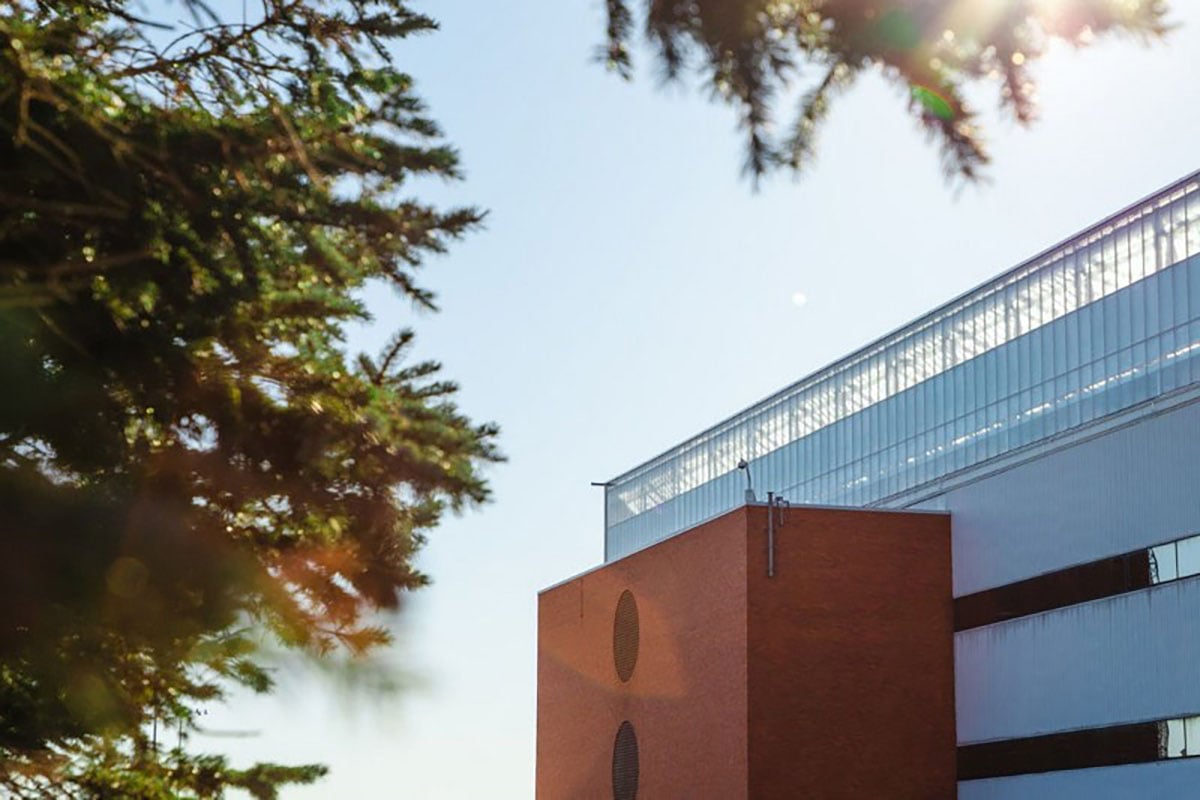 The image features a modern building with a flat roof and large windows, partially obscured by the branches of a tree with green leaves. The sunlight is shining through the tree, casting shadows and creating a bright and airy atmosphere.