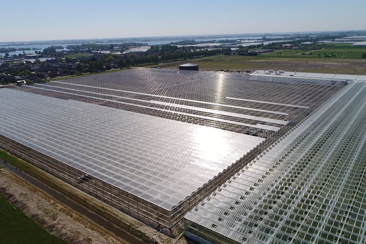 An aerial view of a large greenhouse construction site. In the background, there is a landscape with some greenery and a body of water visible under a clear sky.