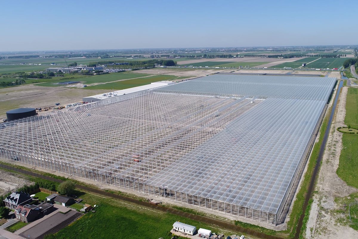 An aerial view of a large greenhouse complex with multiple glass-covered buildings arranged in a grid pattern. The greenhouses are situated on a flat expanse of land, with a clear blue sky above and a flat horizon in the distance. There are some vehicles parked in front of one of the buildings.
