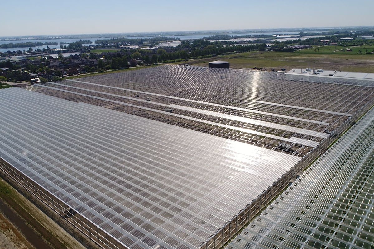 An aerial view of a large greenhouse. The facility is situated in a flat, open area. The surrounding landscape includes some green areas, and there are a few buildings visible in the distance. The sky is clear, suggesting good weather conditions for solar energy production.