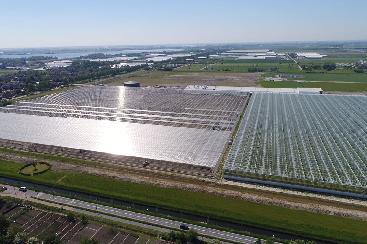 An aerial view of a large greenhouse, with a clear sky and a few scattered buildings in the background.