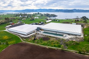 A scenic aerial view of a large greenhouse situated in a rural area. The surrounding landscape is lush and green, with patches of trees and shrubbery. In the distance, the coastline is visible with calm waters and a clear sky.
