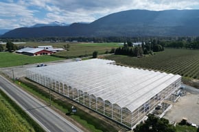A large, partially constructed greenhouse with a transparent roof made of white panels, situated next to a rural road. There is a red barn in the background, and the surrounding landscape includes vineyards and a mountain range.