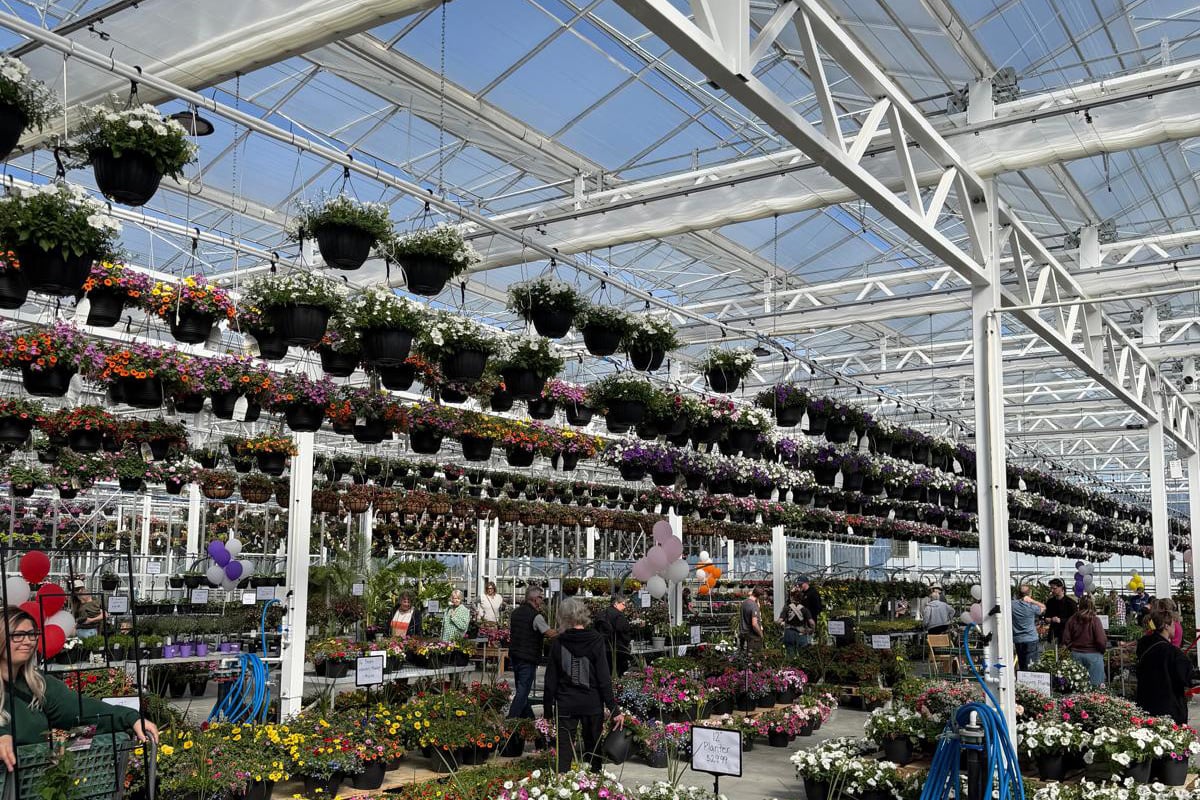 A lively indoor garden center with a high ceiling and multiple rows of hanging flower baskets and potted plants. The space is well-lit by natural sunlight, and there are people browsing and shopping the plants.