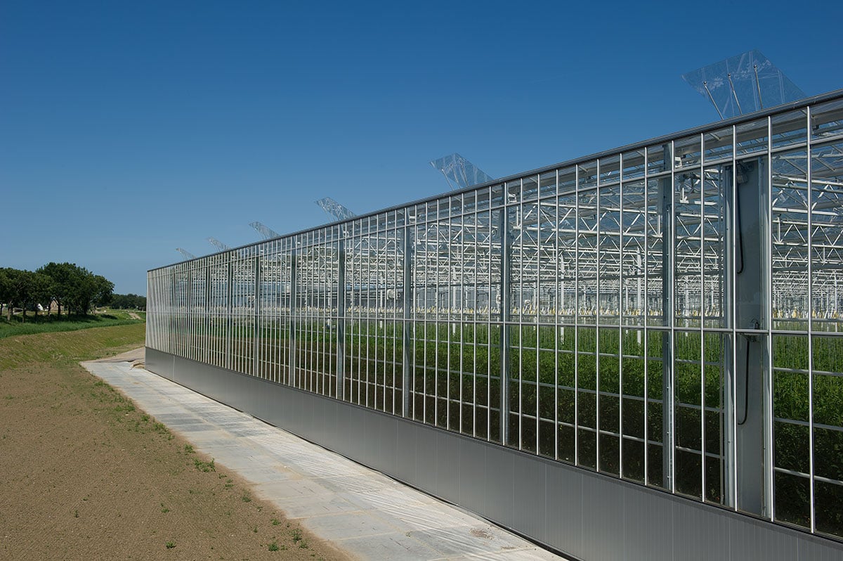 The image shows a modern metal structure with a geometric design, housing plants on the right side and a clear blue sky above.