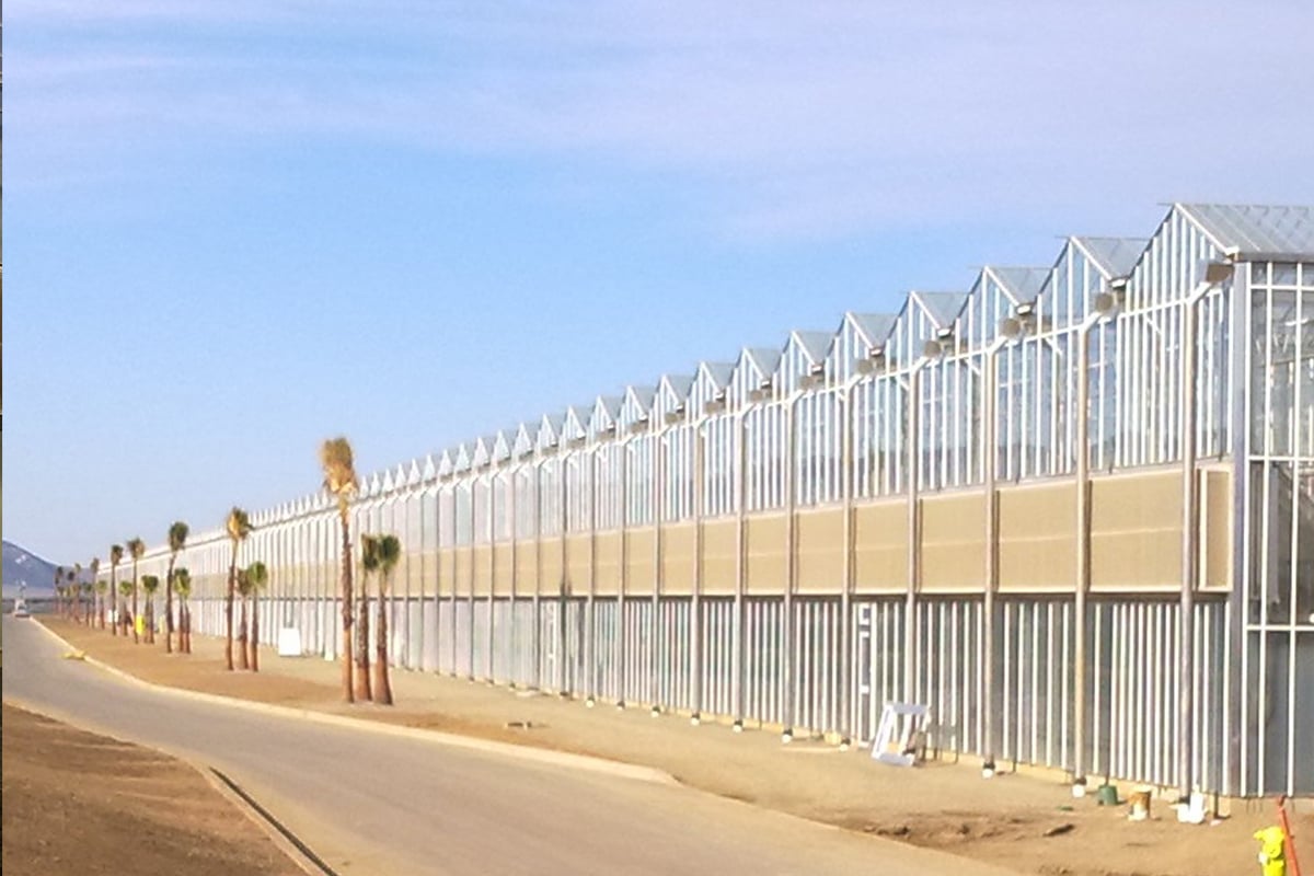 A greenhouse. There are palm trees on the left side, and the sky is clear blue. The ground appears to be dry with some dirt visible.