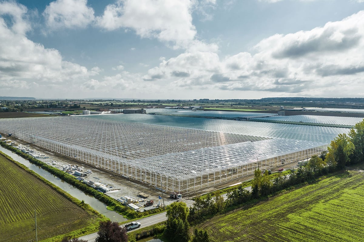 Een grootschalige kas. Op de voorgrond is er een groen landschap met velden en op de achtergrond is er een watermassa die de lucht weerspiegelt. Er zijn ook enkele gebouwen en voertuigen, wat wijst op de aanwezigheid van menselijke activiteit en infrastructuur.