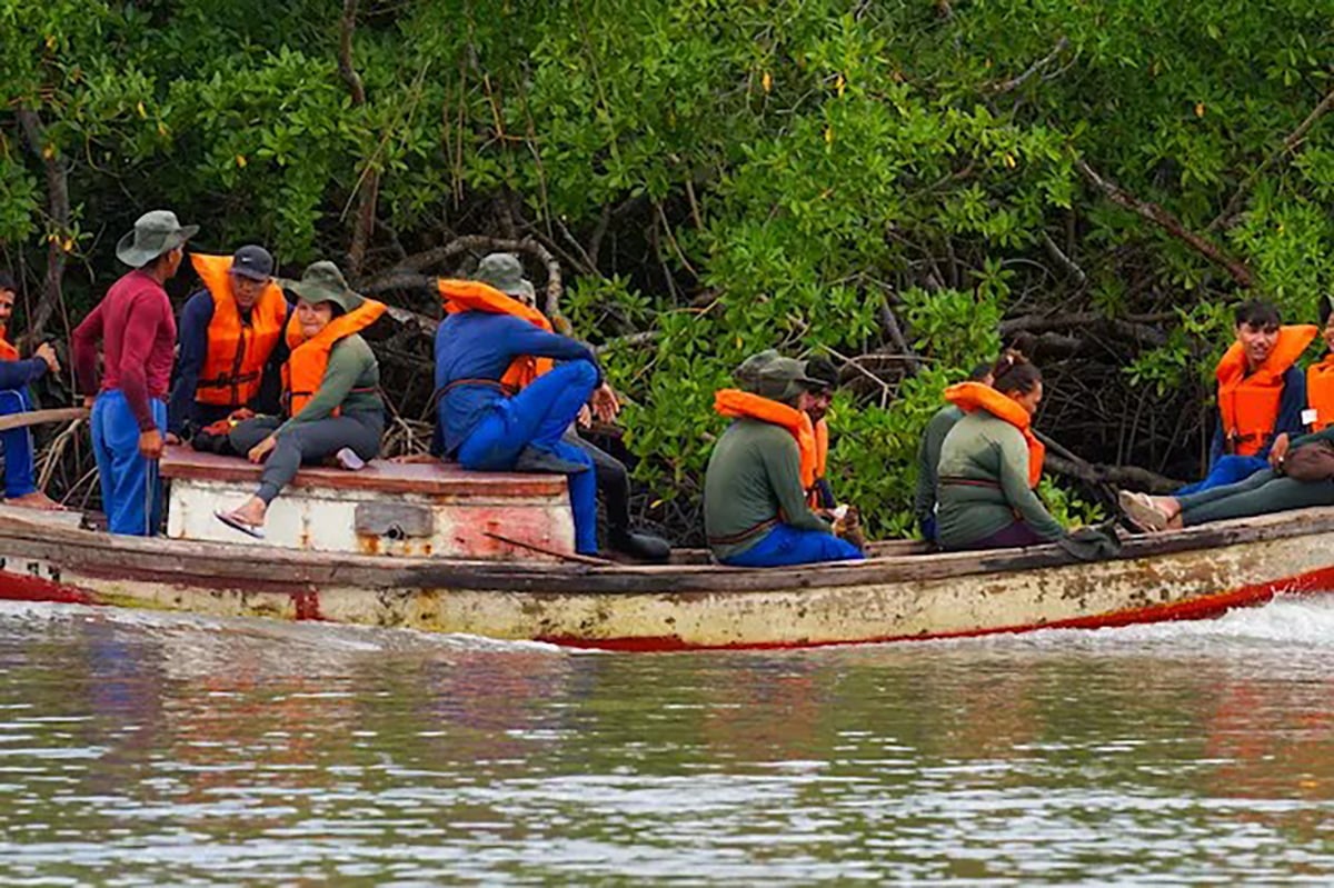 regreener-kubo-duurzame-mangrove-brazilië