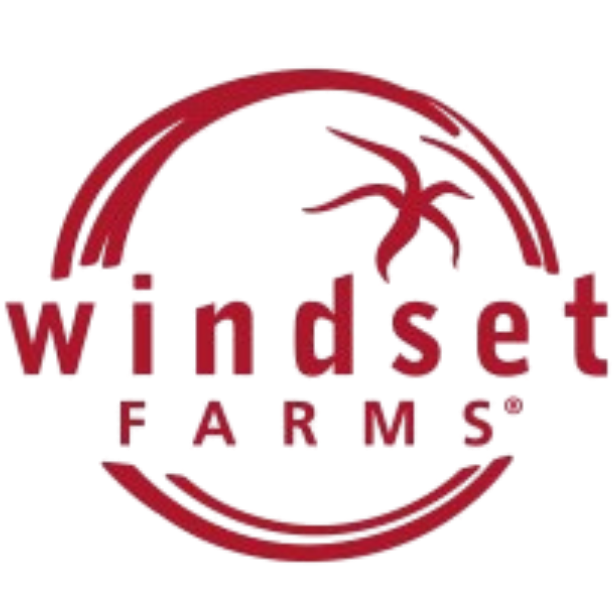 logo-windset