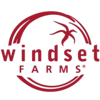 logo-windset