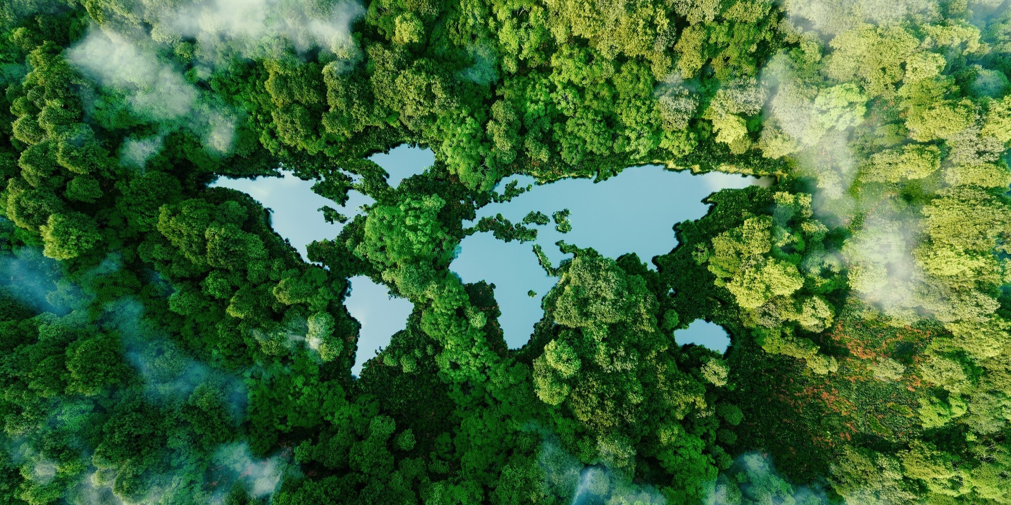 A dense green forest with the shape of the world map cut out, symbolically connecting nature and the Earth.**