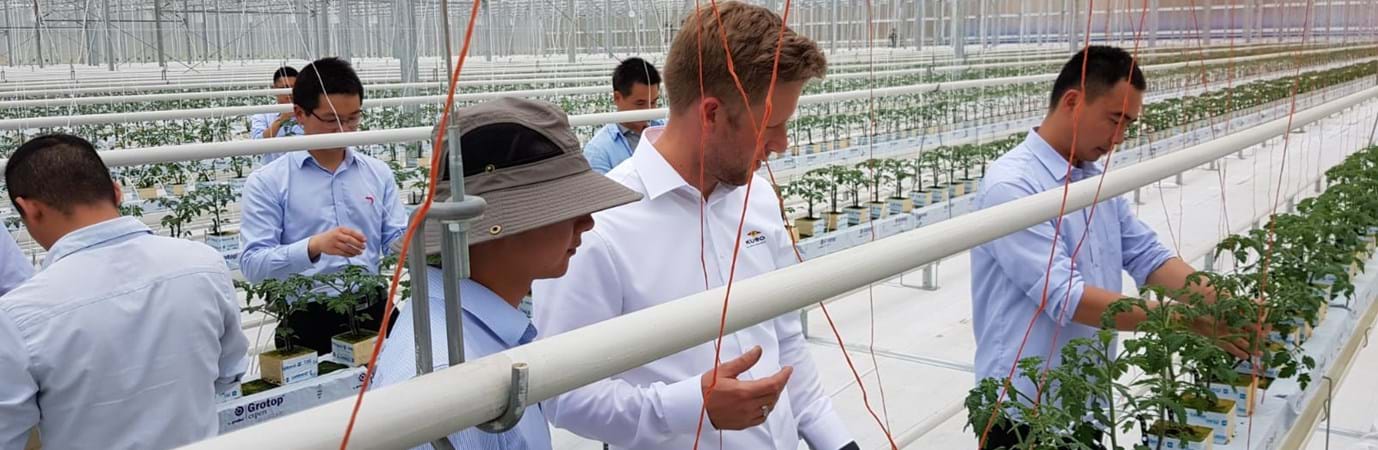 Greenhouse horticultural training