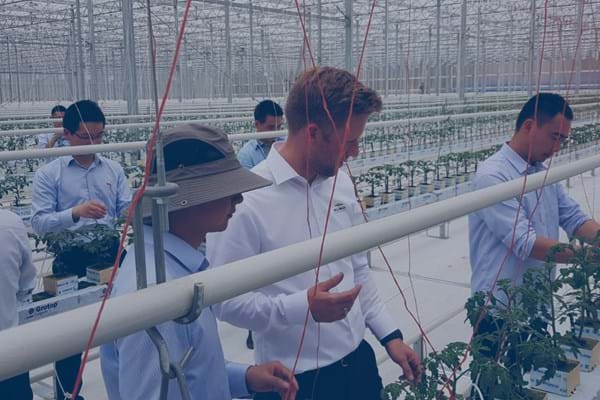Greenhouse horticultural training