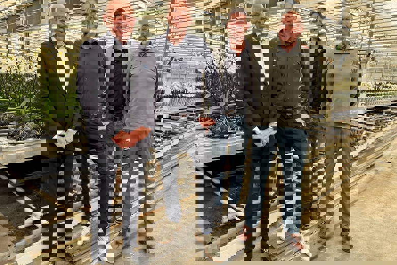 vier mannen poserend in een kas